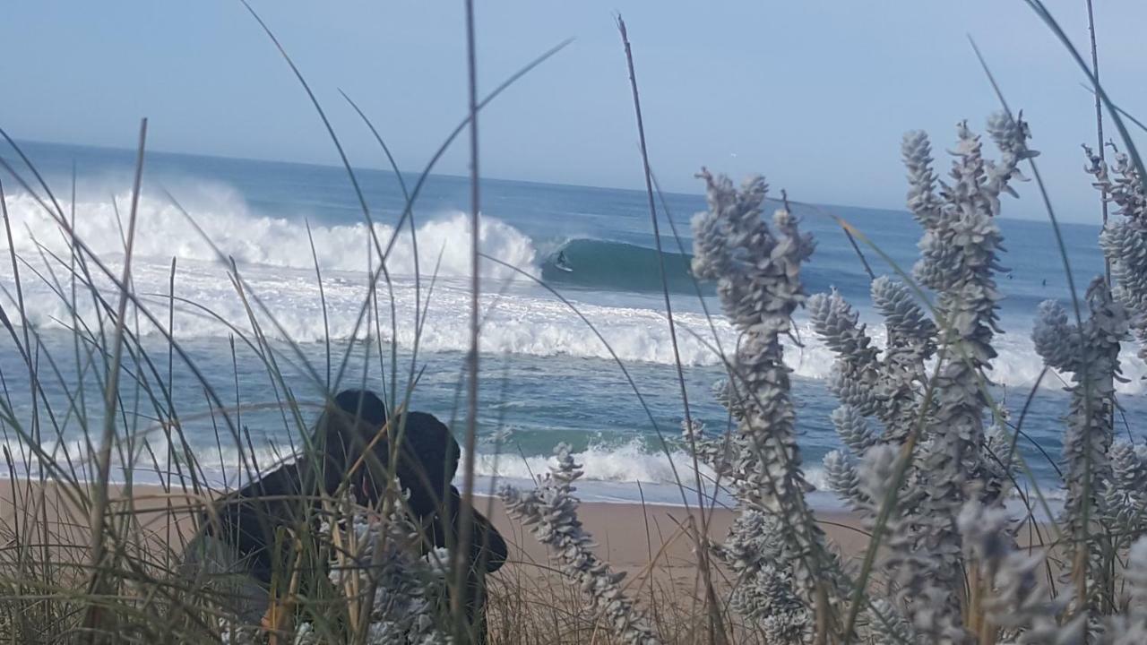 阿通奎亚·达·巴利亚 Pineapple Surf House旅舍 外观 照片